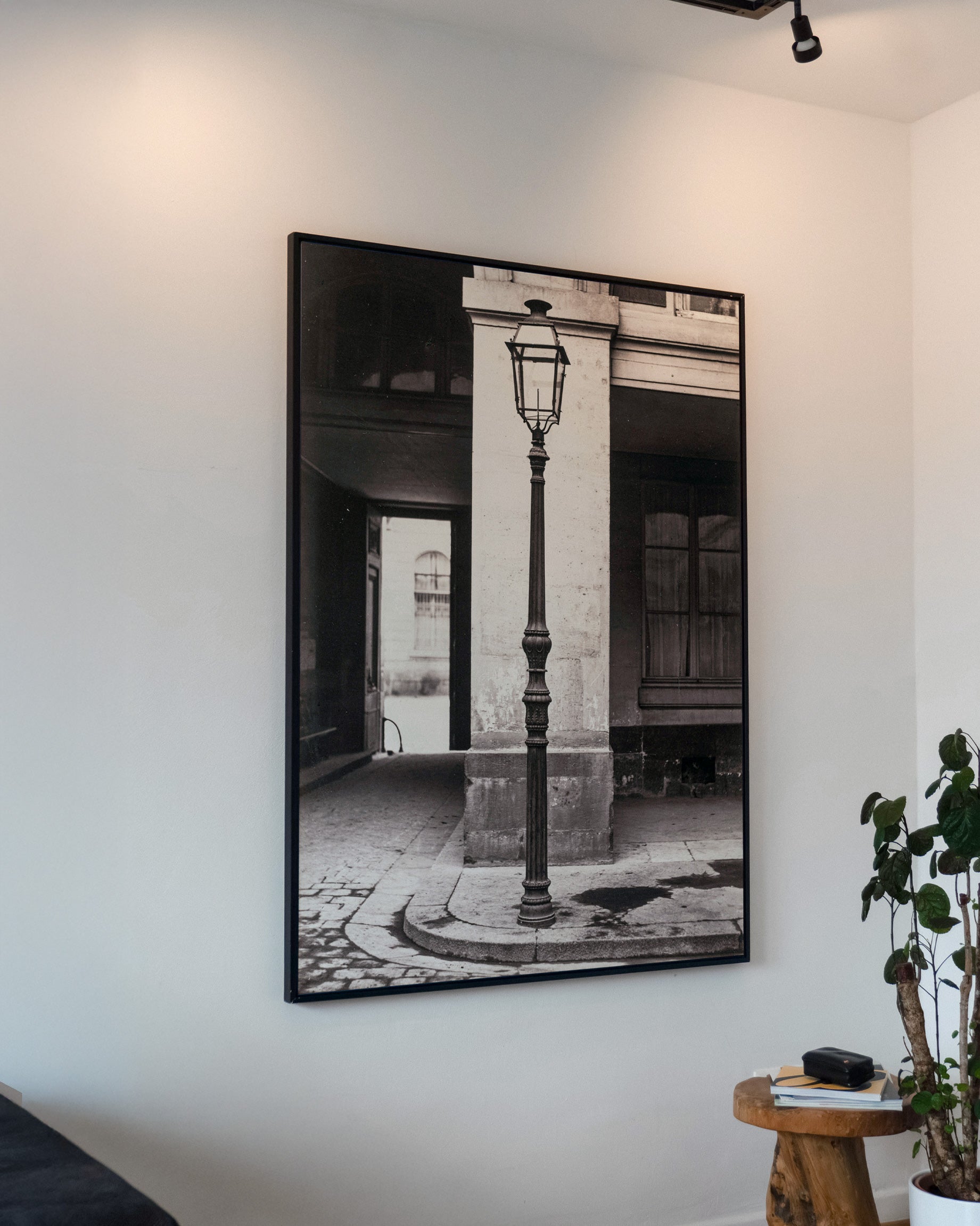 Fotografie