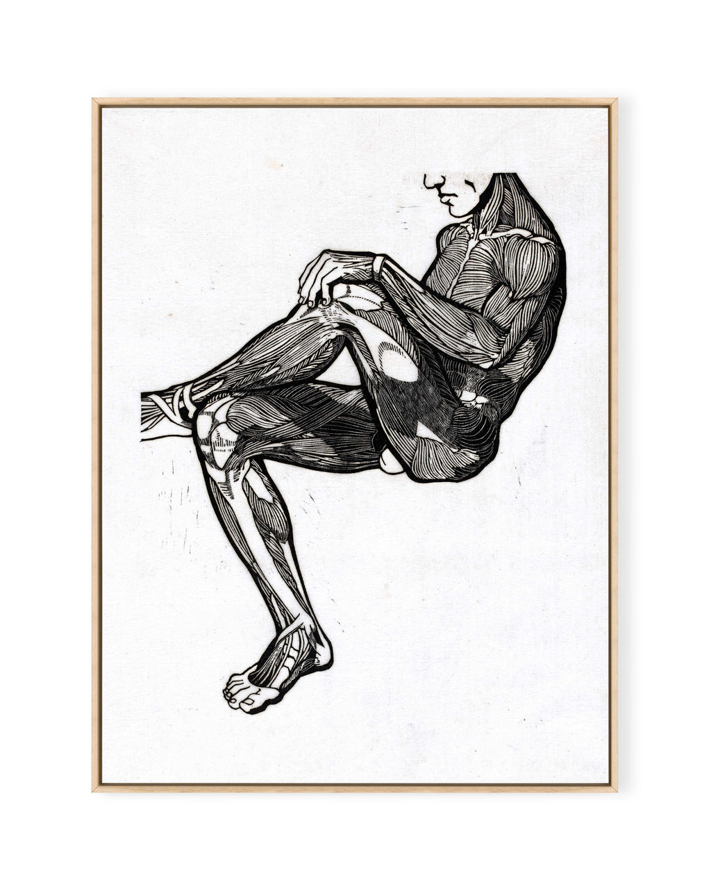 Anatomische Studie II (1906)