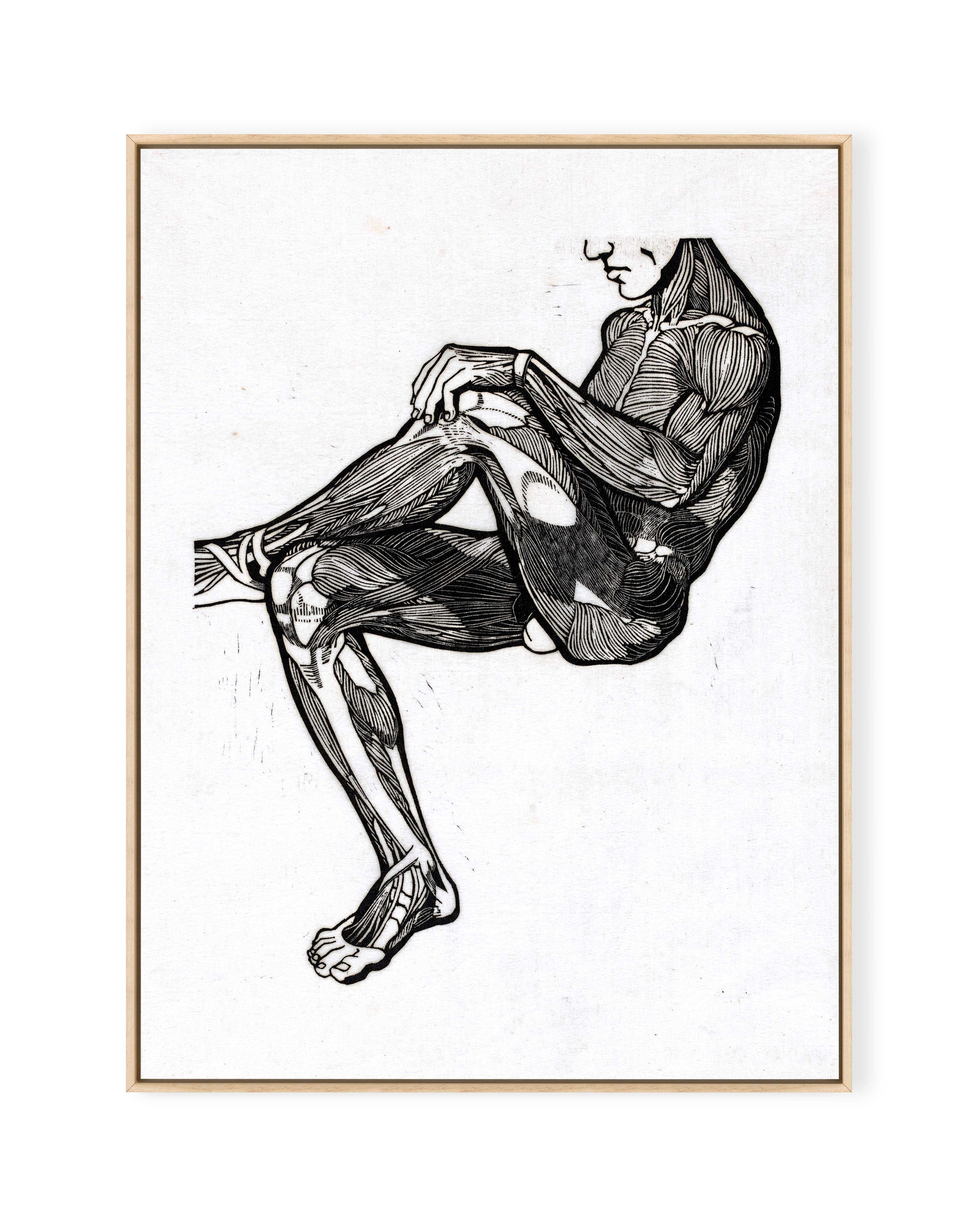 Anatomische Studie II (1906)