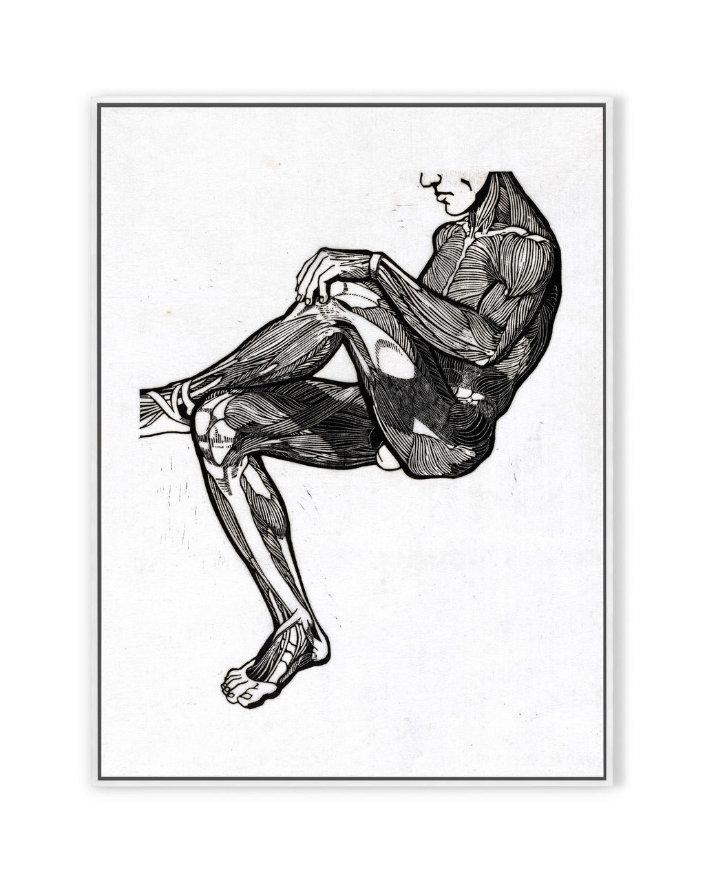 Anatomische Studie II (1906)
