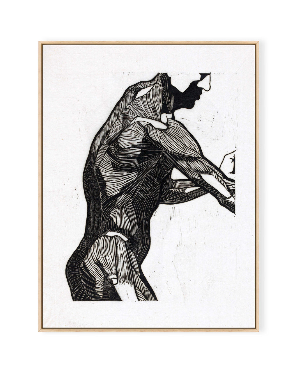 Anatomische Studie IV (1906)