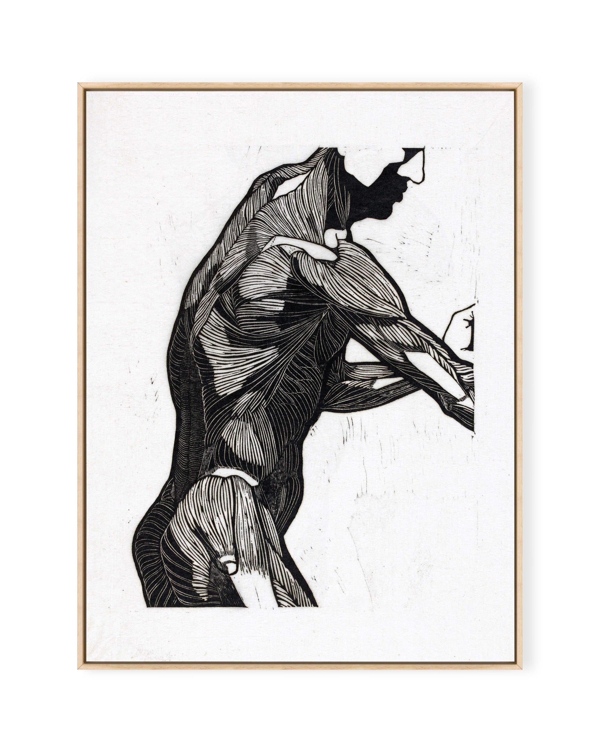 Anatomische Studie IV (1906)
