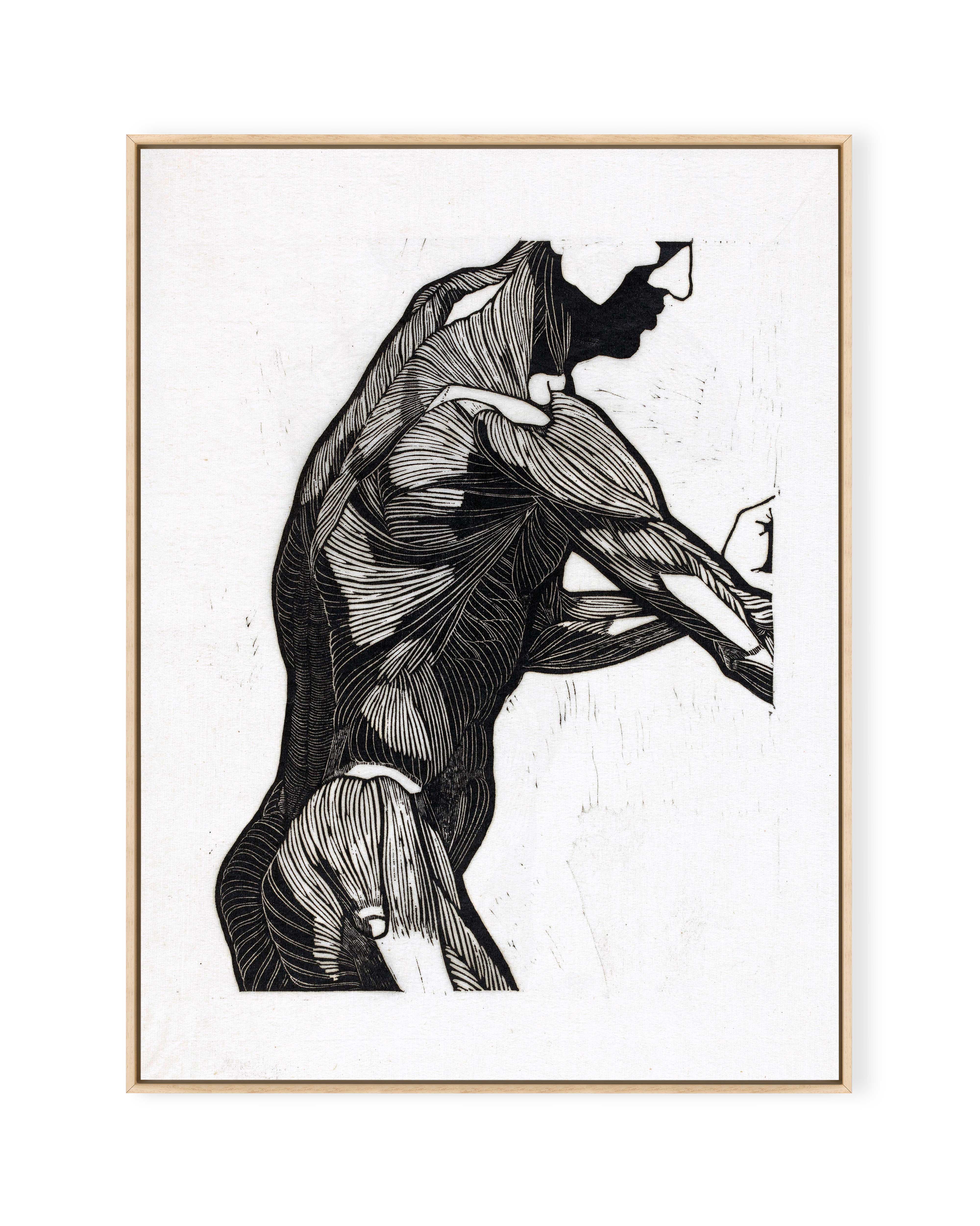 Anatomische Studie IV (1906)