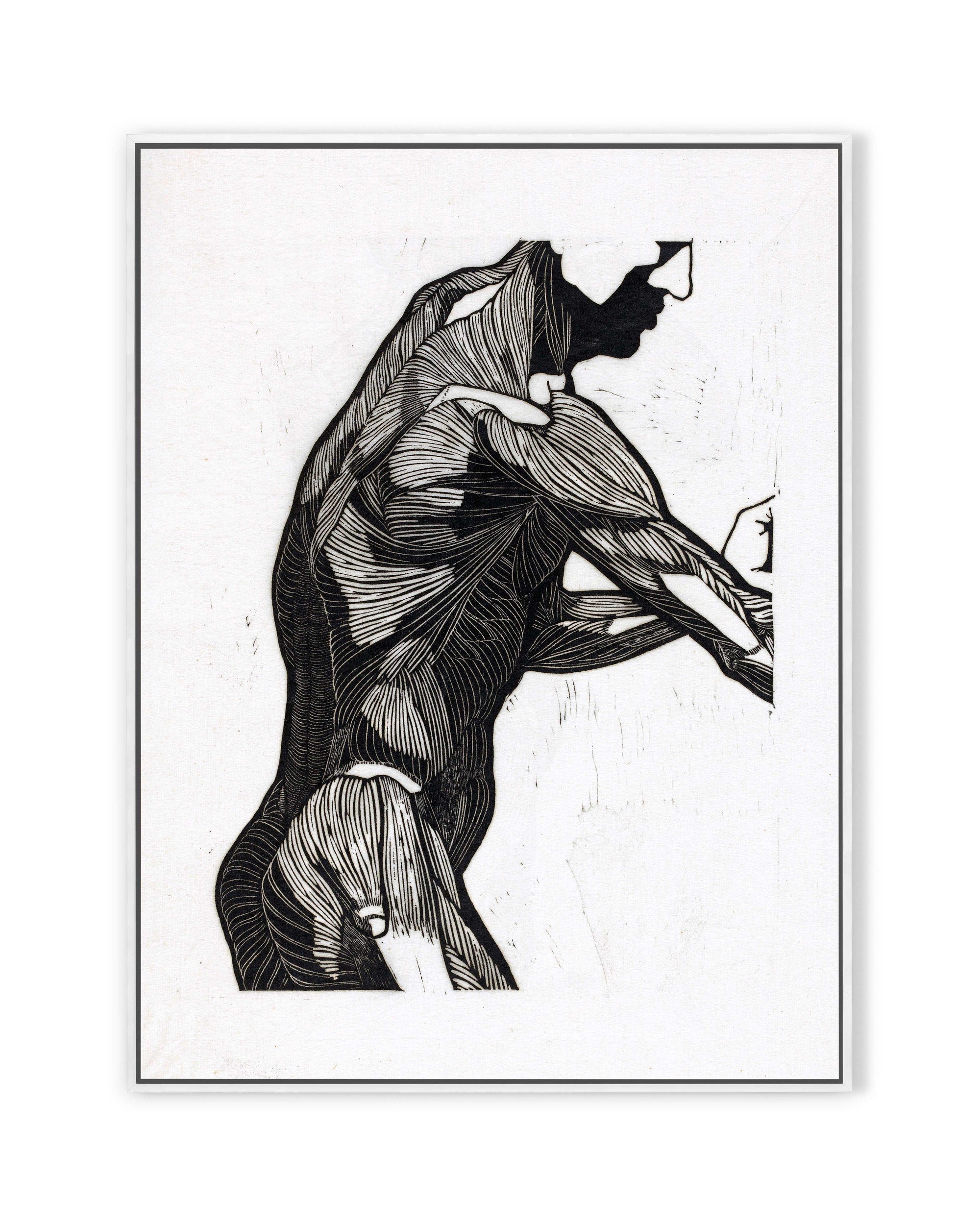 Anatomische Studie IV (1906)