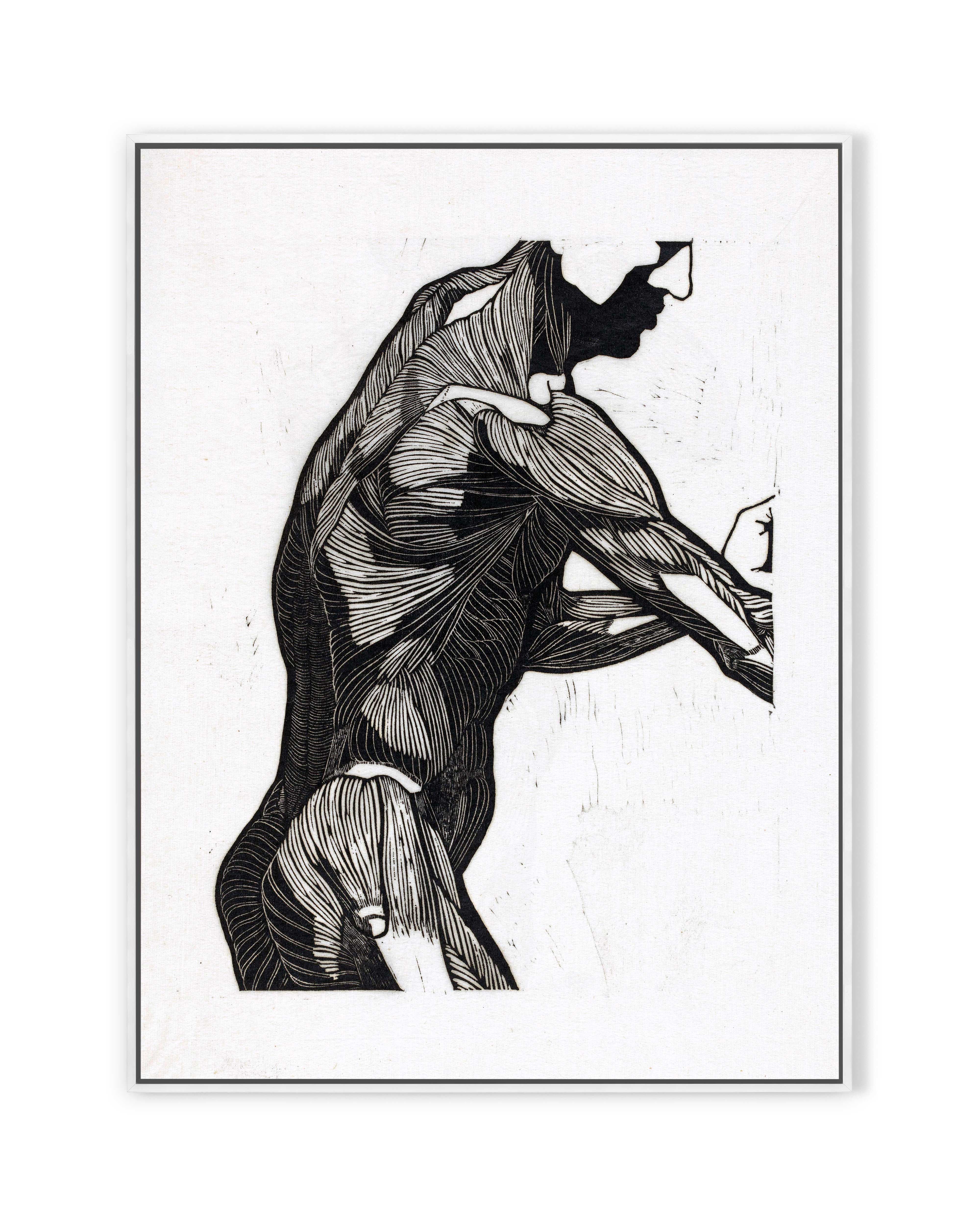 Anatomische Studie IV (1906)