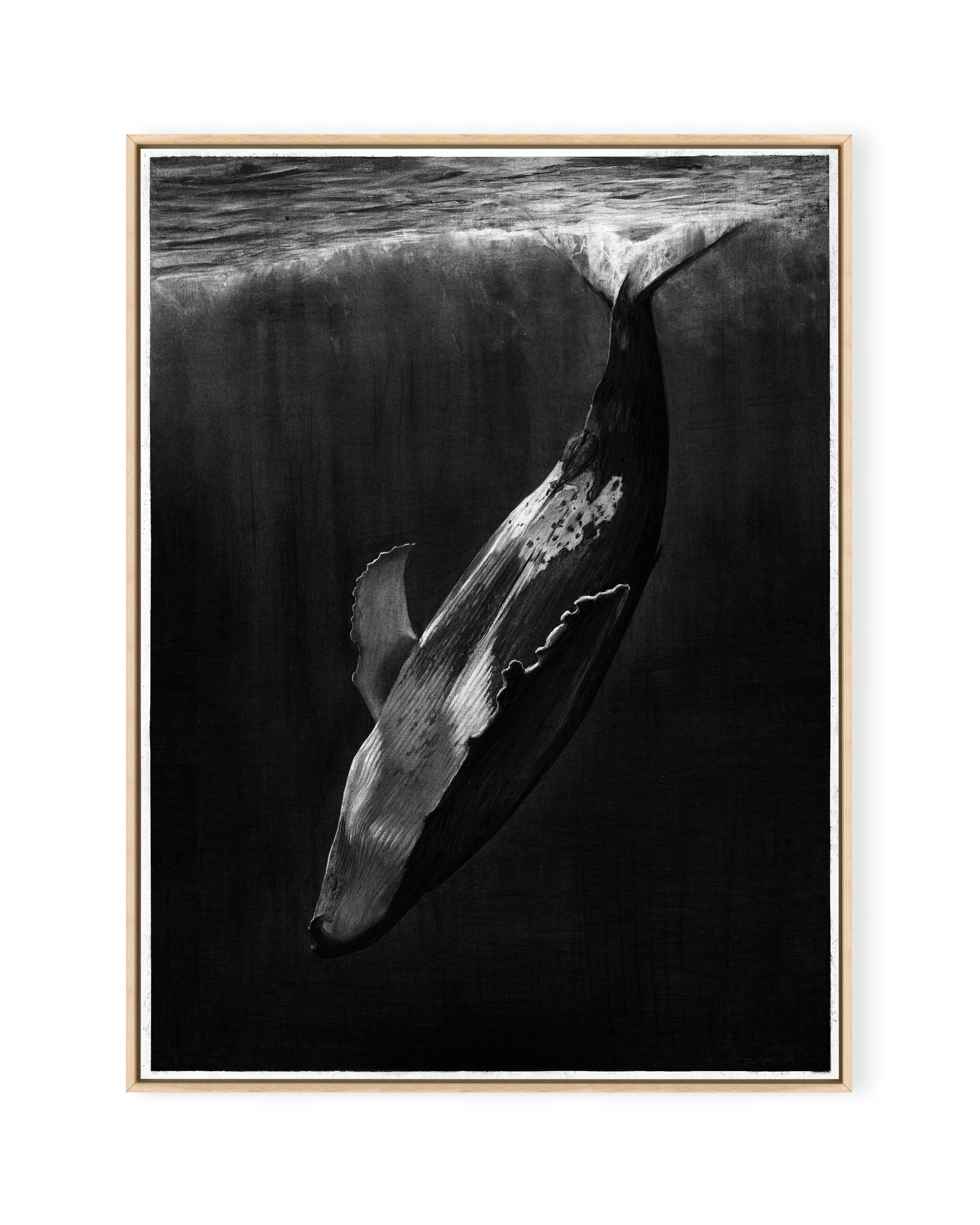 Whale