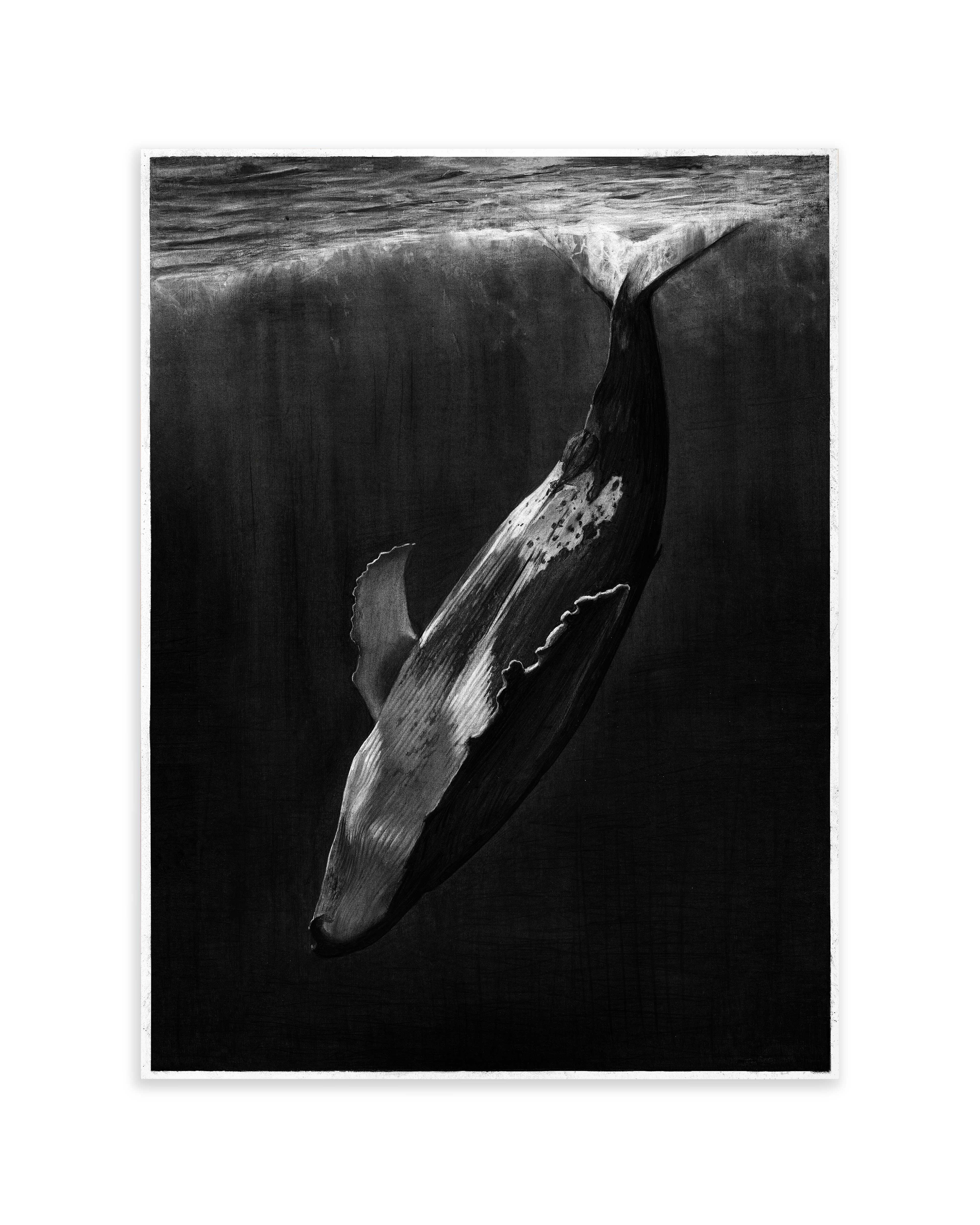 Whale
