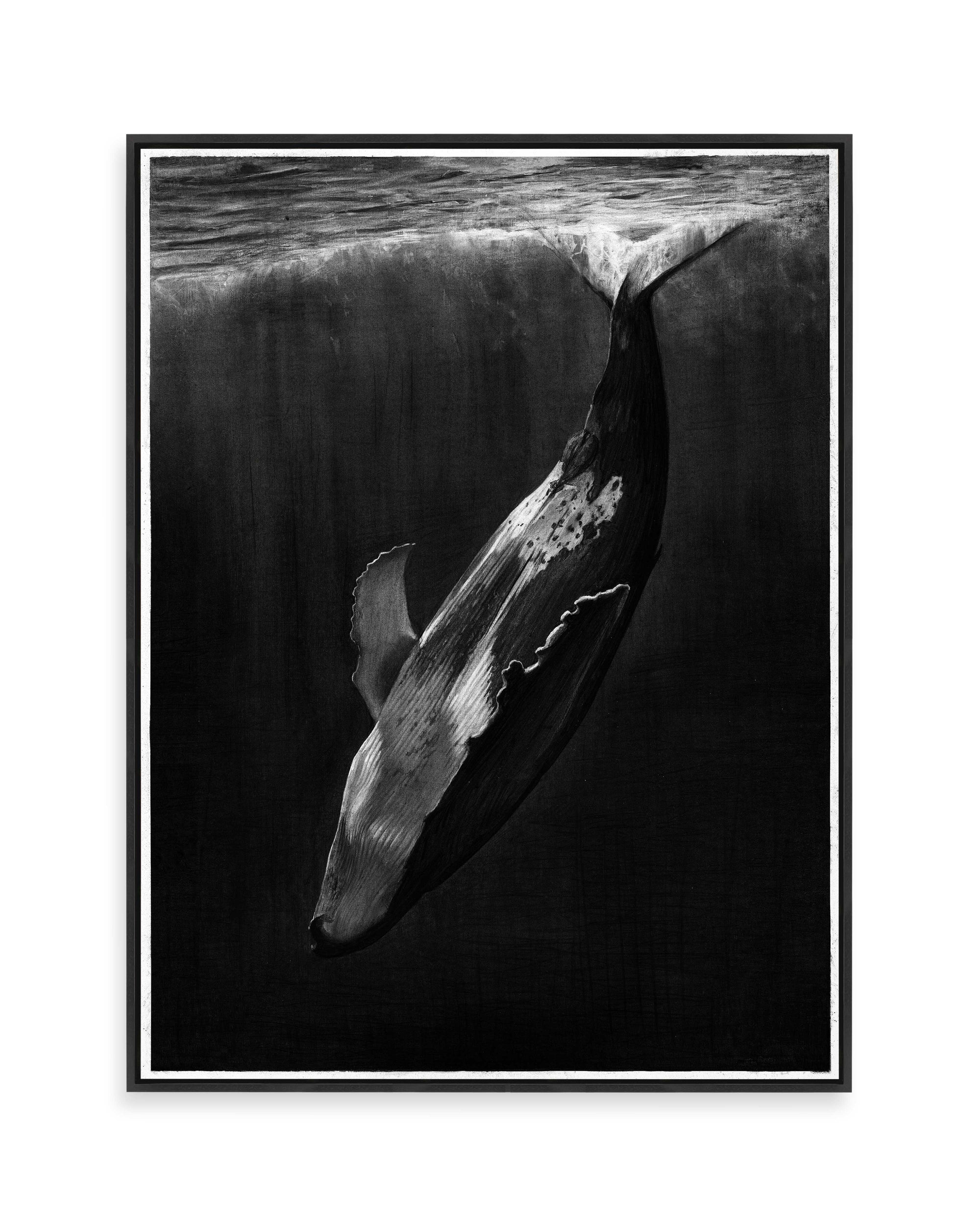 Whale