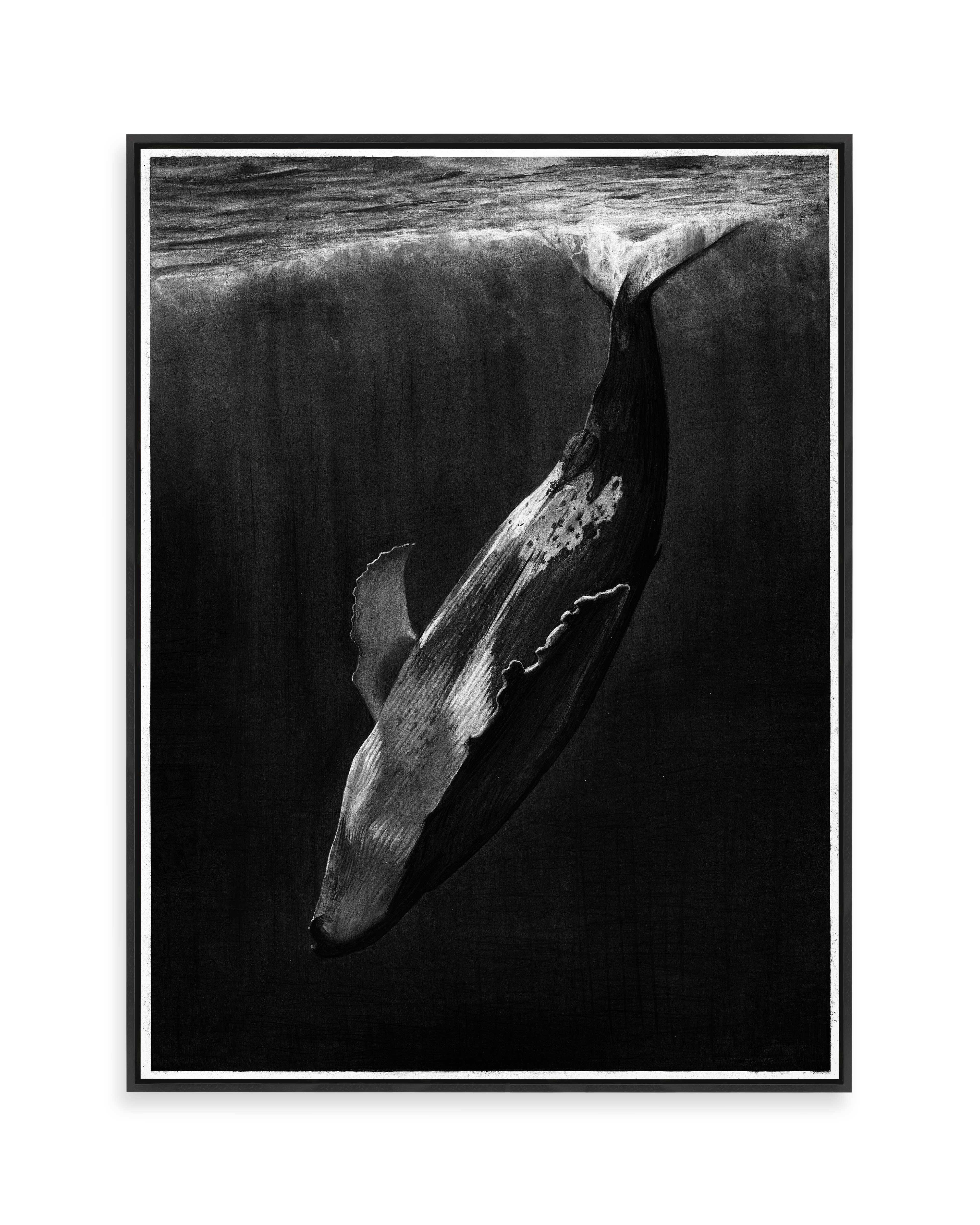 Whale