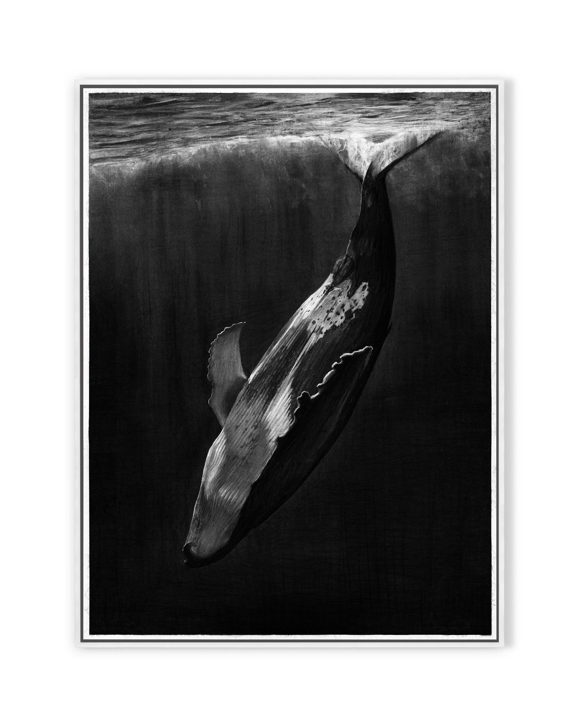 Whale
