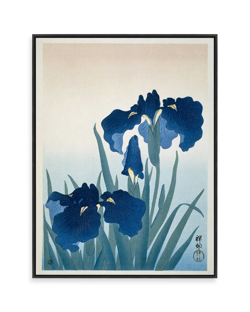 Schwertlilien (1925)