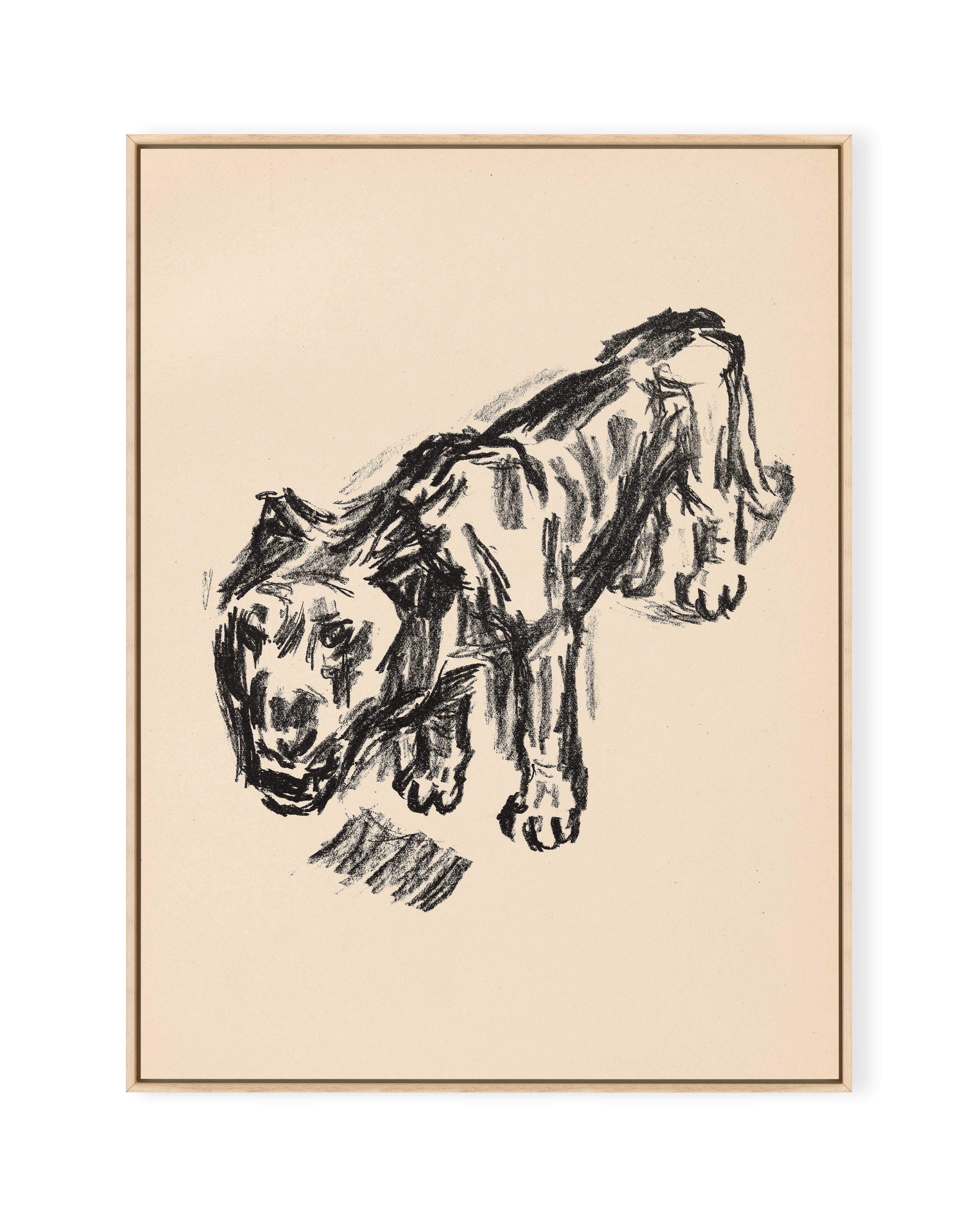 Löwe (1920)