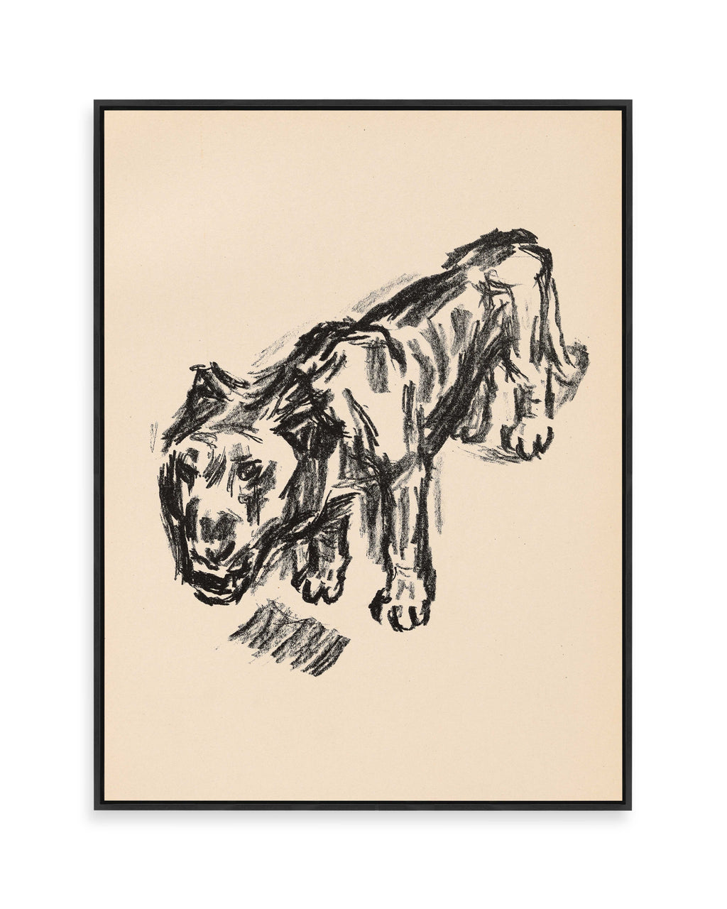 Löwe (1920)