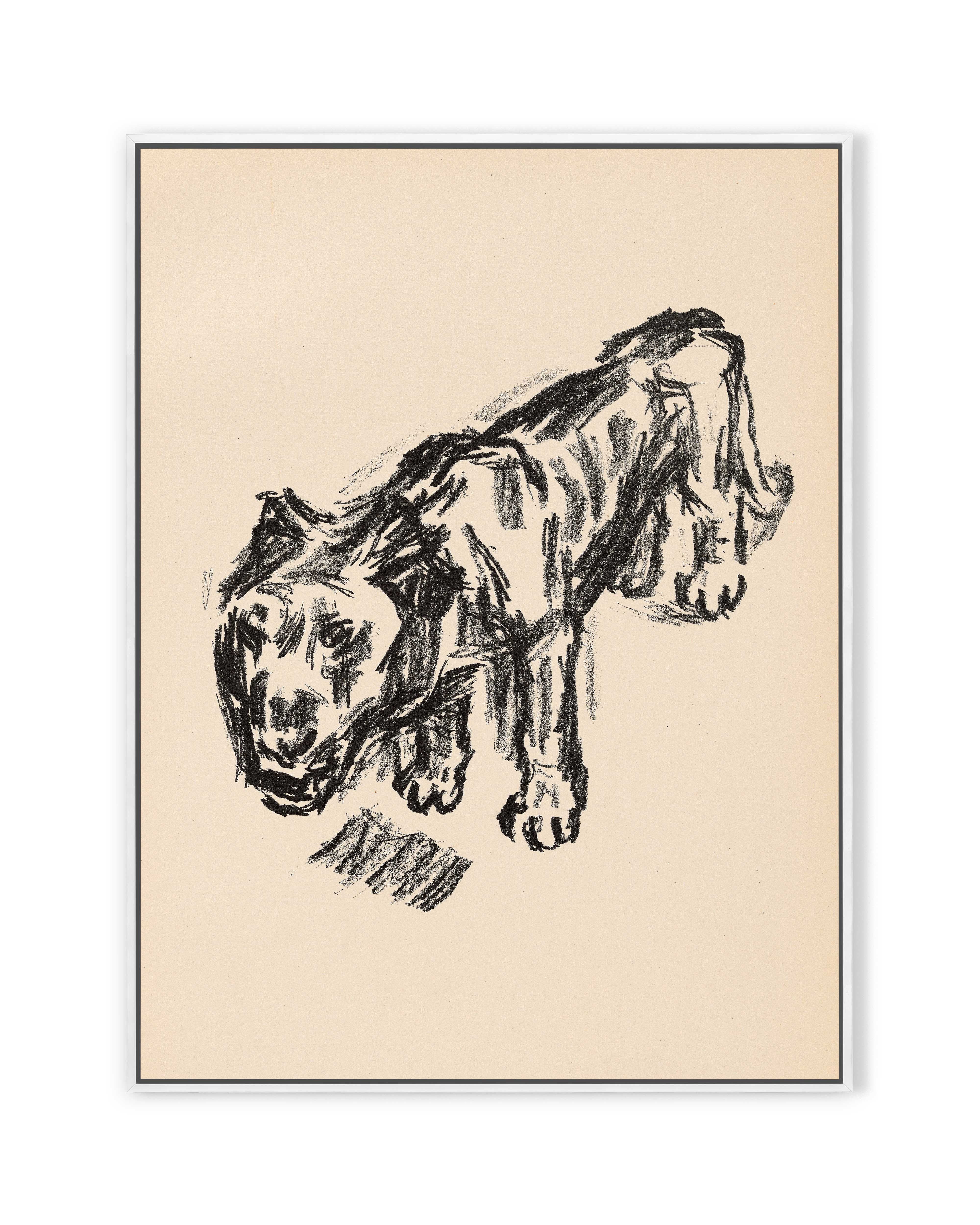 Löwe (1920)